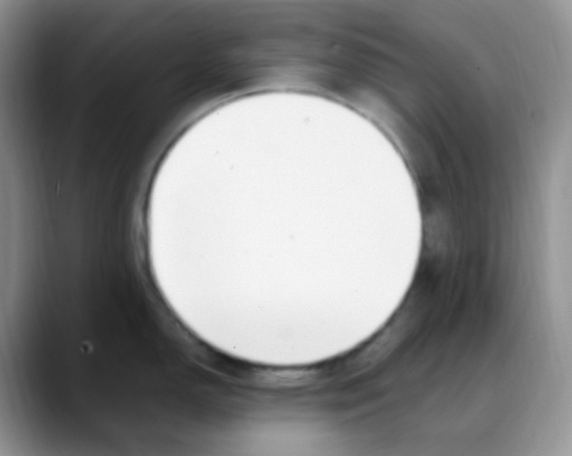 X0000088051150200706081624
