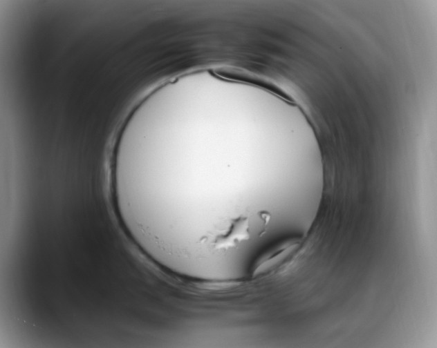 X0000088051151200706081624