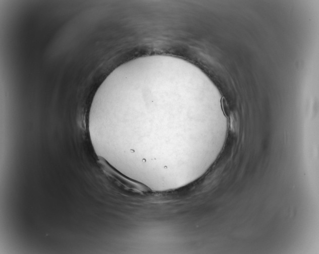 X0000088051155200706081624