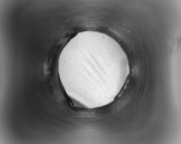 X0000088051156200706081623