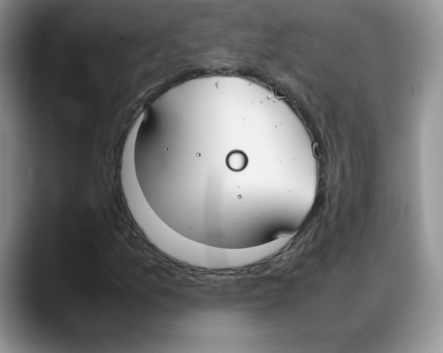 X0000088051157200706081623