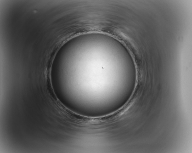 X0000088051161200706081623
