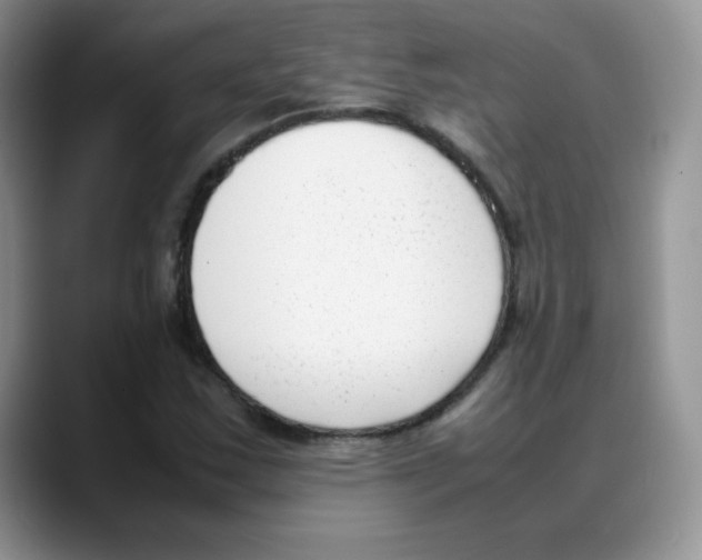 X0000088051163200706081623