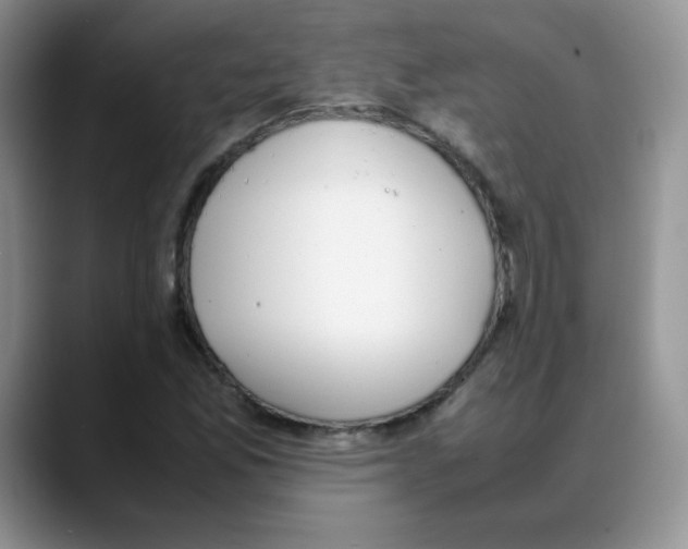 X0000088051165200706081623