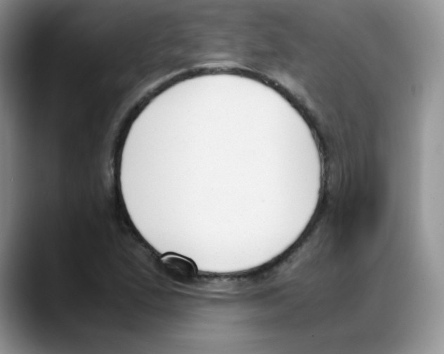 X0000088051167200706081623
