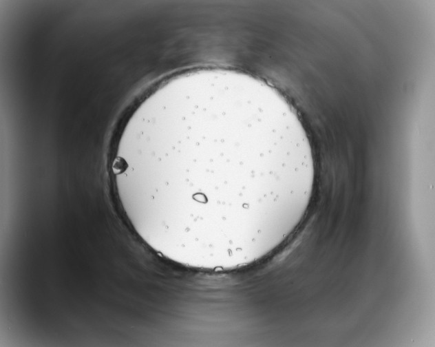 X0000088051168200706081623