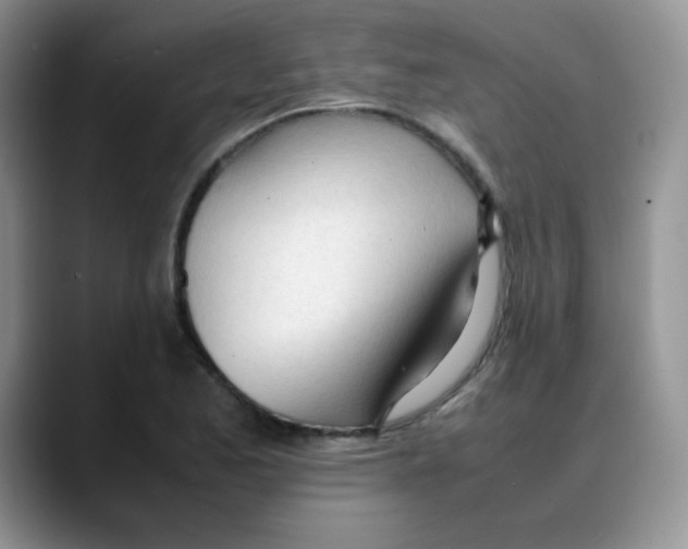 X0000088051173200706081623