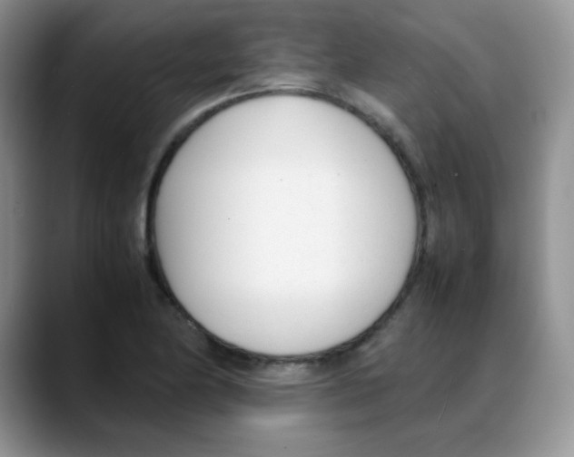 X0000088051174200706081623