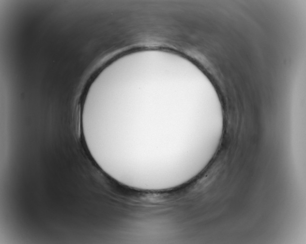 X0000088051175200706081623