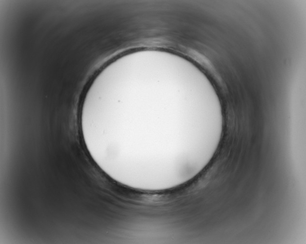 X0000088051176200706081623