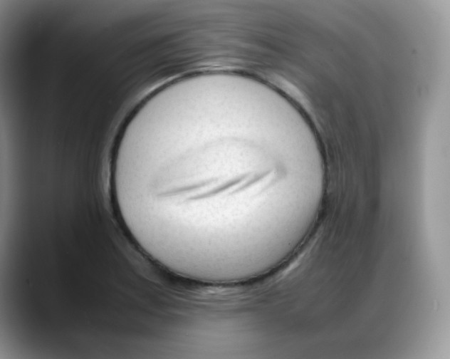 X0000088051179200706081623
