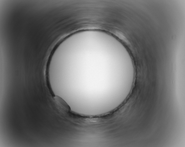 X0000088051181200706081623