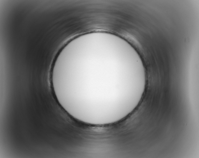 X0000088051182200706081623