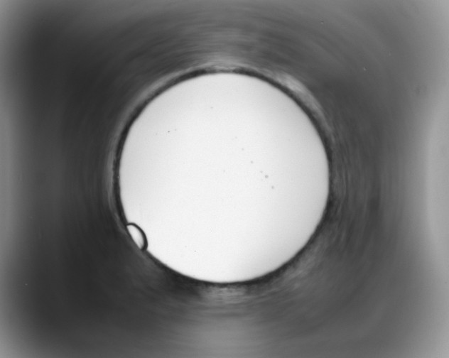 X0000088051183200706081623