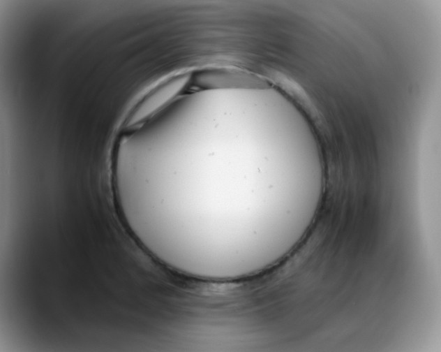 X0000088051184200706081623
