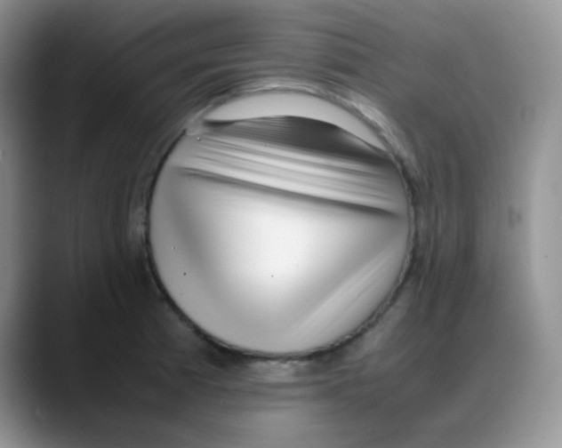 X0000088051185200706081623