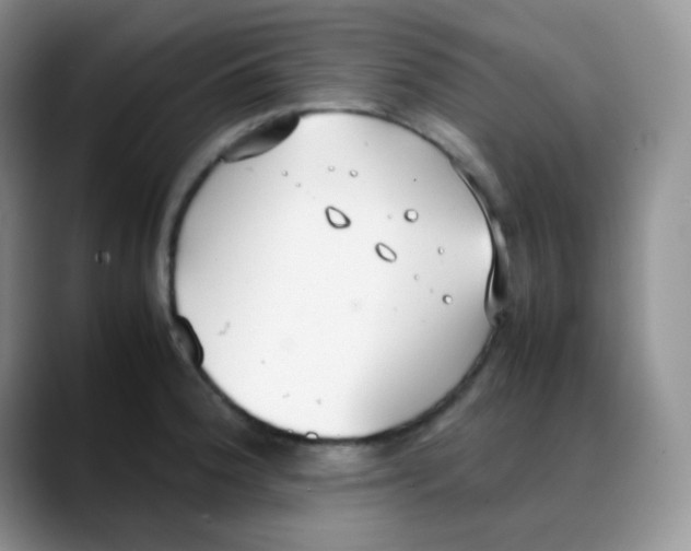 X0000088051188200706081623