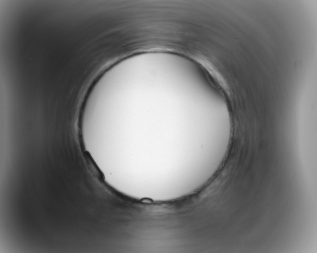 X0000088051189200706081623