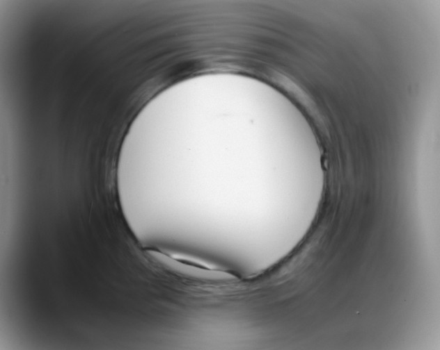 X0000088051193200706081623