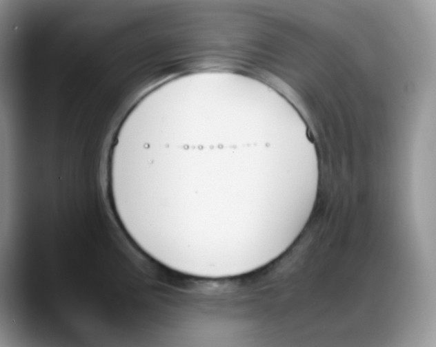 X0000088051195200706081623