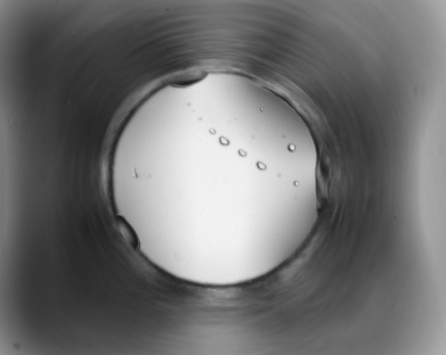 X0000088051196200706081623