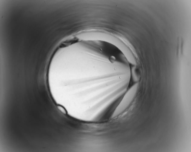 X0000088051197200706081623