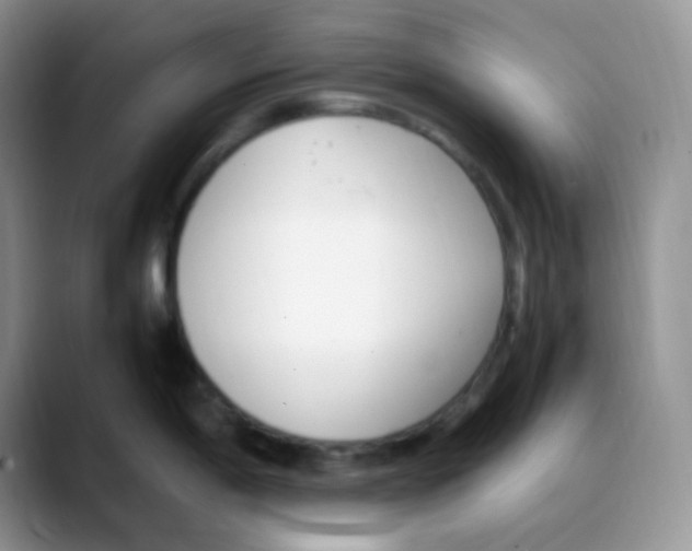 X0000088051198200706081623