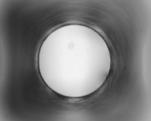 X0000088051199200706081623