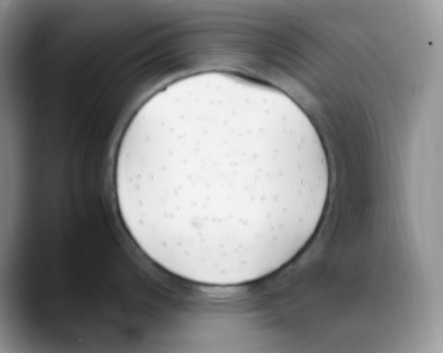 X0000088051200200706081623