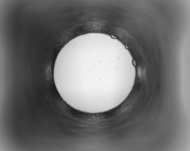 X0000088051203200706081622