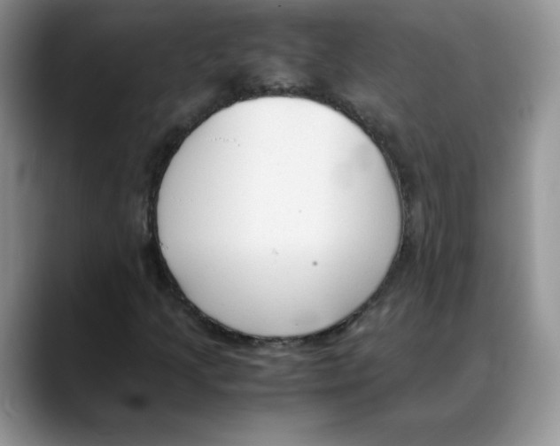 X0000088051205200706081622