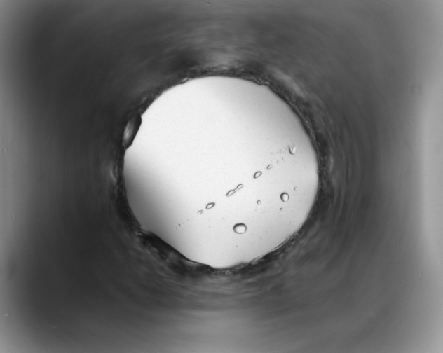 X0000088051206200706081622