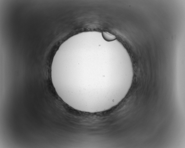 X0000088051207200706081622