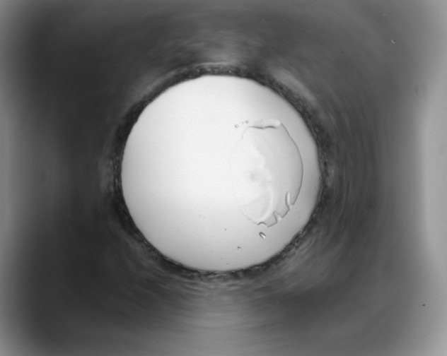 X0000088051208200706081622