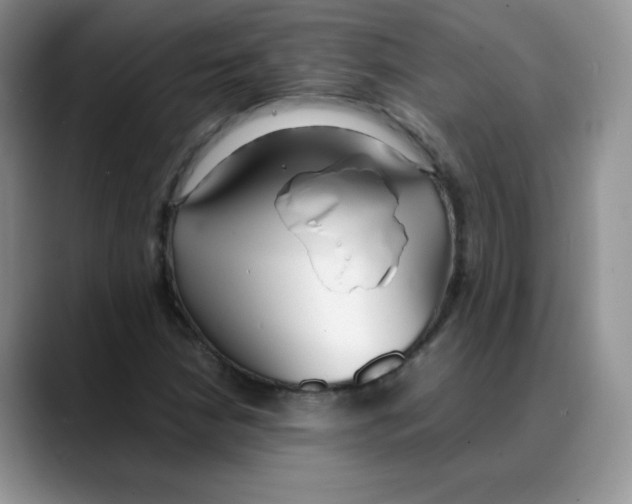 X0000088051210200706081622