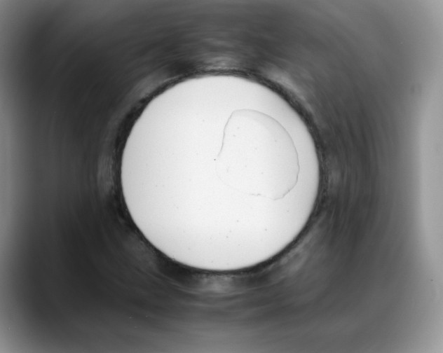 X0000088051211200706081622