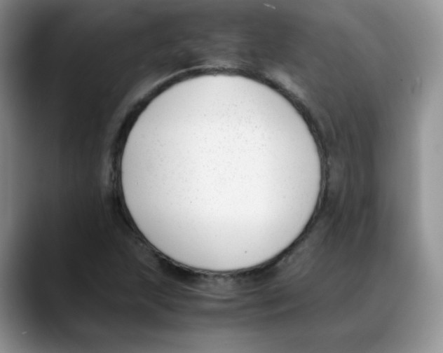X0000088051215200706081622