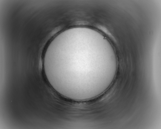 X0000088051221200706081623
