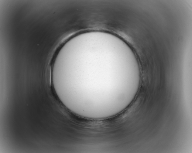 X0000088051223200706081623