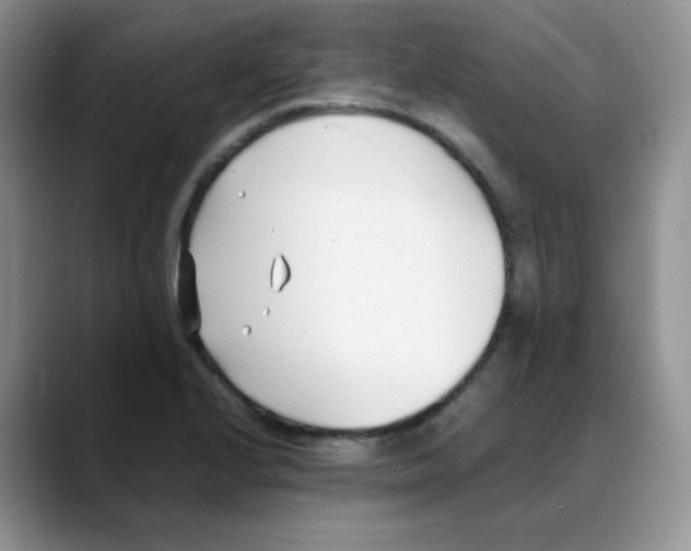 X0000088051224200706081623