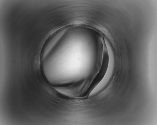 X0000088051226200706081623