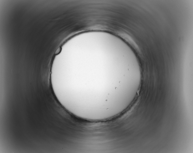 X0000088051228200706081623