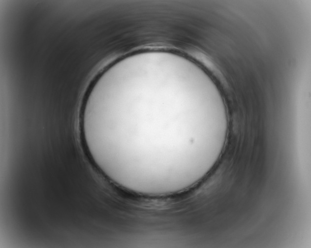 X0000088051229200706081623