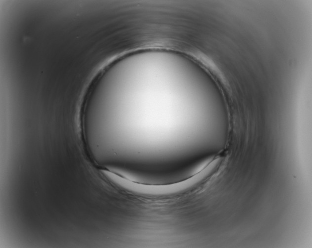 X0000088051230200706081623