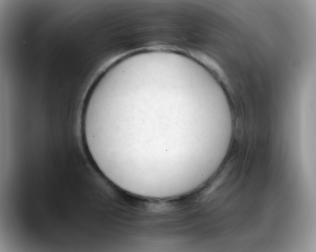 X0000088051231200706081623