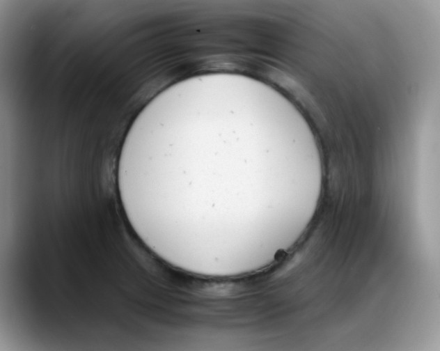 X0000088051233200706081623