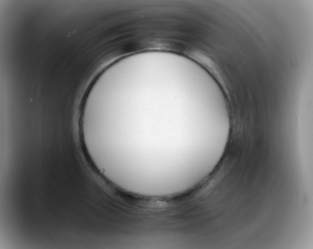 X0000088051235200706081623