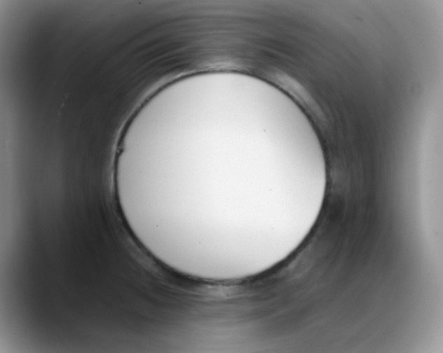 X0000088051236200706081623