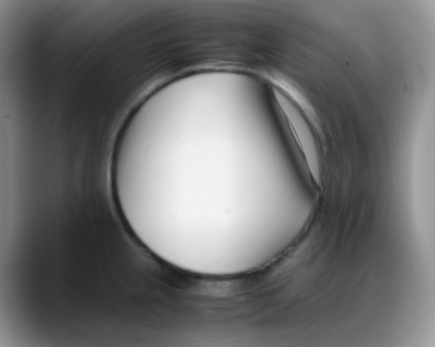 X0000088051237200706081623