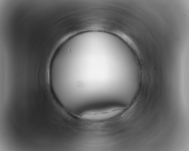 X0000088051238200706081623